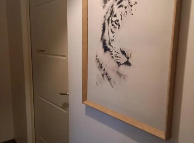 Standart Studio Odası
